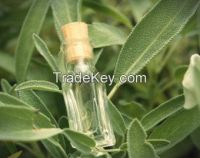 ESSENTIAL OIL Salvia officinalis, SAGE esential oil