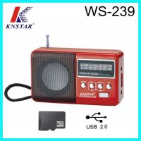 Portable mini FM digital radio with LED display