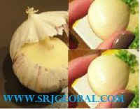 Single clove Garlic 
