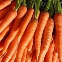 Carrot