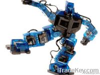 Intermediate Version of the Humanoid Robot