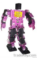 Senior Version of the Humanoid Robot