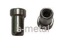 Elevator Blind Rivet Nut