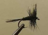 fishing flies