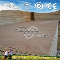 Commercial Plywood/ Okoume Plywood / Plywood