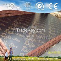 18mm Laminated Plywood for Construction Usage