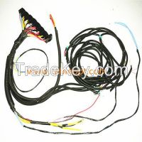 Automotive Wiring Harness for Truck