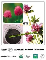 100% Natutral Red Clover Extract 8%~40% isoflavone