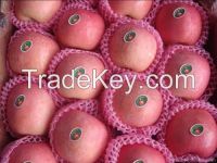 China Fuji apple, fresh apple export at low price