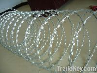 Razor wire mesh