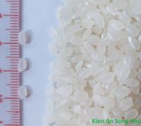 Japonica/ Round Rice
