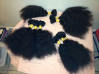 Raw Virgin Indian Hair 