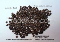 Ambrette Seeds