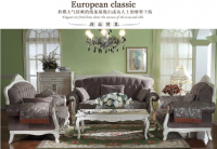 European style living room sofa combination
