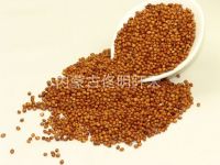 https://www.tradekey.com/product_view/Glutinous-Sorghum-6479140.html