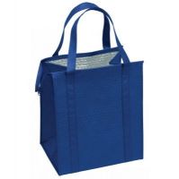 Non-woven bag thermal lined cooler bag with zipper closure
