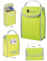 Cooler bag-small with carry strap