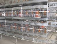 Popular Main Types Battery Cage For Broiler