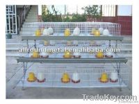 Hot sell pullet cage for poultry