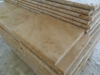 Classic Travertine Pool coping