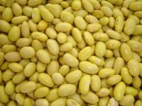 Mayocoba "Peruno" Bean