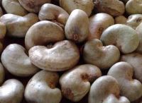 Grade A Cashew  nuts for sale