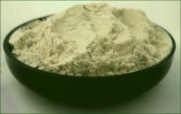 Buy rich quality guargum powder at affordable price