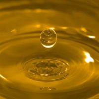 Refined Cotton seed Oil for sale