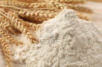 Grade 1 All-Purpose Wheat Flour  best price