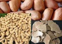 Cheapest price  best grade groundnut meal manufacturers