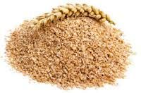 Grade A Quality Low price wheat bran Suppliers