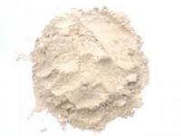 Grade A rape seed lecithin powder supplier