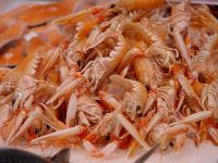 SHRIMP SHELL WITH HEAD