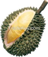 FRESH DURIAN