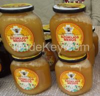 Honey (meadows, linden, lithuanian forest and buckwheat)