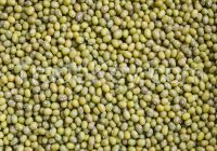 Green Mung Beans,Chickpea Beans,Black Pepper,Hybrid Vegetable Seeds,Green Cardamom,Sorghum Grains.