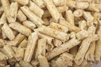 poplar wood pellet