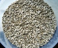 Sunflower Seeds