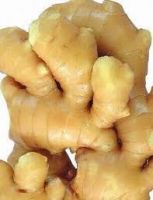 Vietnam Ginger