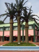 Fake Artificial Date Palm Tree for beach/garden/hall/outdoor&indoor de