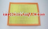 1137489 Air Filter/Auto Parts for Ford