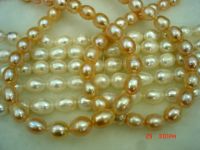 Rice Shape  Freshwater Pearls