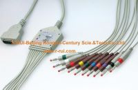 GE EKG 10LD cable