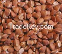 Buckwheat kernels for sale. 