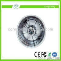 Ceiling Induction Light