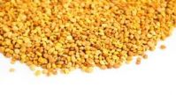 Bee Pollen