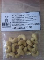 cashew nut