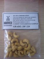 cashew nut