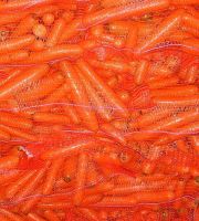 Fresh Carrots