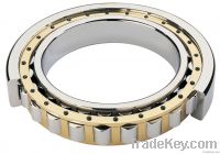 Export Cylindrical Roller Bearing